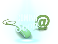 Online Bookings